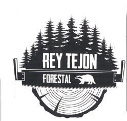 REY TEJON FORESTAL