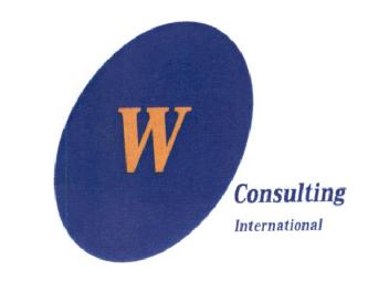 W CONSULTING INTERNATIONAL