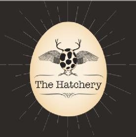 THE HATCHERY