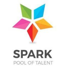 SPARK POOL OF TALENT