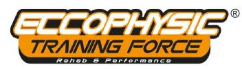 ECCOPHYSIC TRAINING FORCE REHAB & PERFOMANCE
