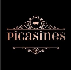 PICASINES