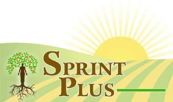 SPRINT PLUS