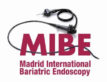 MIBE MADRID INTERNATIONAL BARIATRIC ENDOSCOPY