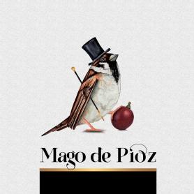 MAGO DE PIOZ