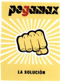PEGAMAX LA SOLUCION