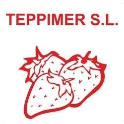 TEPPIMER S.L