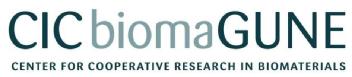 CIC BIOMAGUNE CENTER FOR COOPERATIVE RESEARCH IN BIOMATERIALS