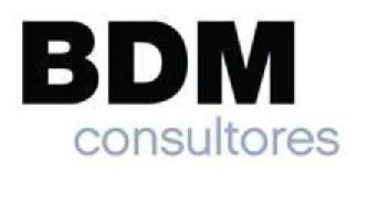 BDM CONSULTORES