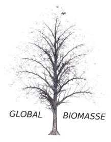 GLOBAL BIOMASSE