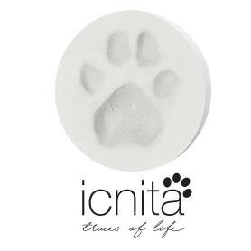 ICNITA TRACES OF LIFE
