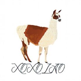 XOXOLAO