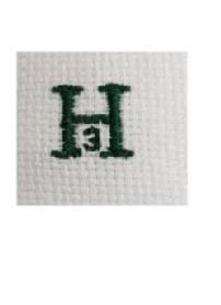 H3