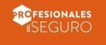 PROFESIONALES DEL SEGURO
