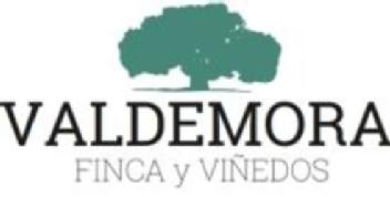 VALDEMORA FINCA Y VIÑEDOS