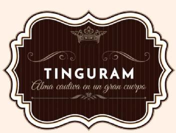 TINGURAM ALMA CAUTIVA EN UN GRAN CUERPO