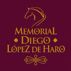 MEMORIAL DIEGO LOPEZ DE HARO