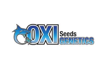 OXI SEEDS GENETICS