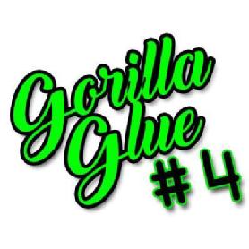 GORILLA GLUE # 4