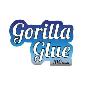 GORILLA GLUE 100 SEEDS