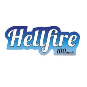 HELLFIRE 100 SEEDS