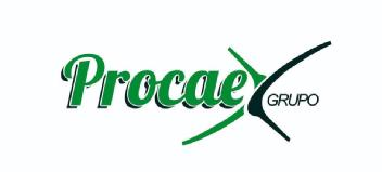 PROCAEX GRUPO