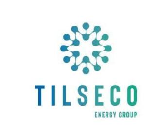 TILSECO ENERGY GROUP