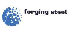 FORGING STEEL
