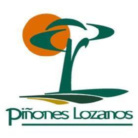 PIÑONES LOZANOS