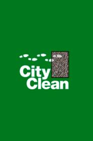 CITY CLEAN
