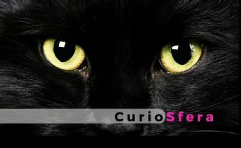 CURIOSFERA