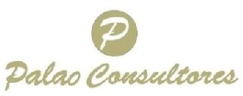 P PALAO CONSULTORES