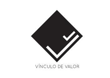 VINCULO DE VALOR