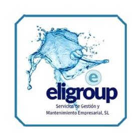 E ELIGROUP SERVICIOS DE GESTION Y MANTENIMIENTO EMPRESARIAL, SL