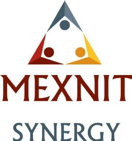 MEXNIT SYNERGY