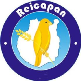 REICAPAN