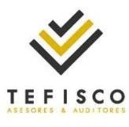 TEFISCO ASESORES & AUDITORES