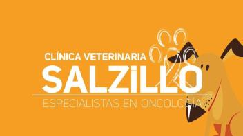 CLINICA VETERINARIA SALZILLO ESPECIALISTAS EN ONCOLOGIA