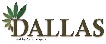 DALLAS BRAND BY AGRIMAXSPAIN