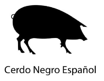 CERDO NEGRO ESPAÑOL