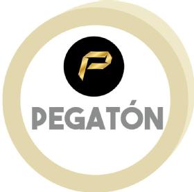 P PEGATON