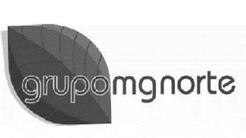GRUPO MG NORTE