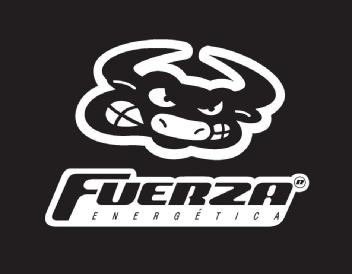 FUERZA ENERGETICA