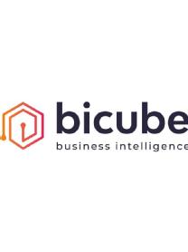 BICUBE BUSINESS INTELLIGENCE