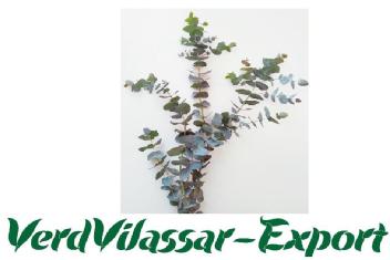 VERDVILASSAR-EXPORT