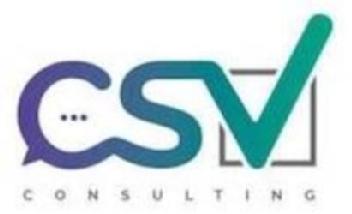 CSV CONSULTING