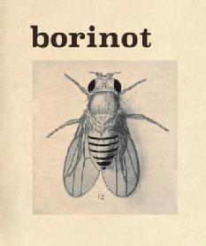 BORINOT