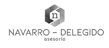 NAVARRO - DELEGIDO ASESORIA