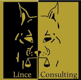 LINCE CONSULTING