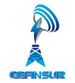 CEFINSUR